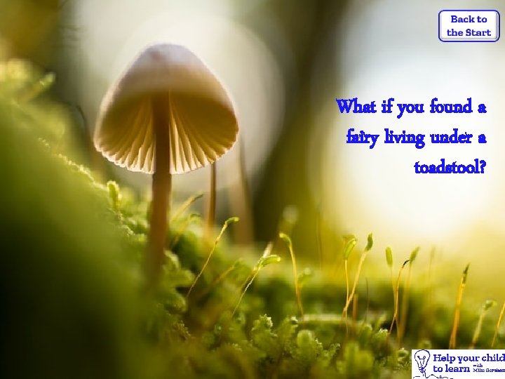 What if you found a fairy living under a toadstool? 