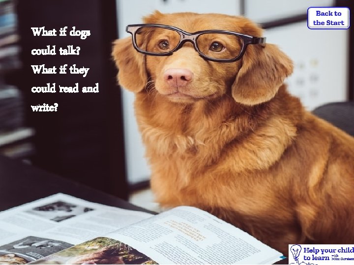 What if dogs could talk? What if they could read and write? 