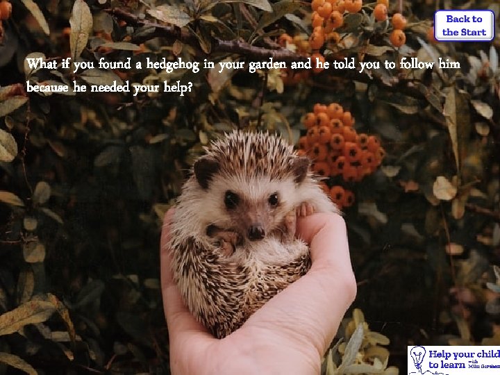 What if you found a hedgehog in your garden and he told you to