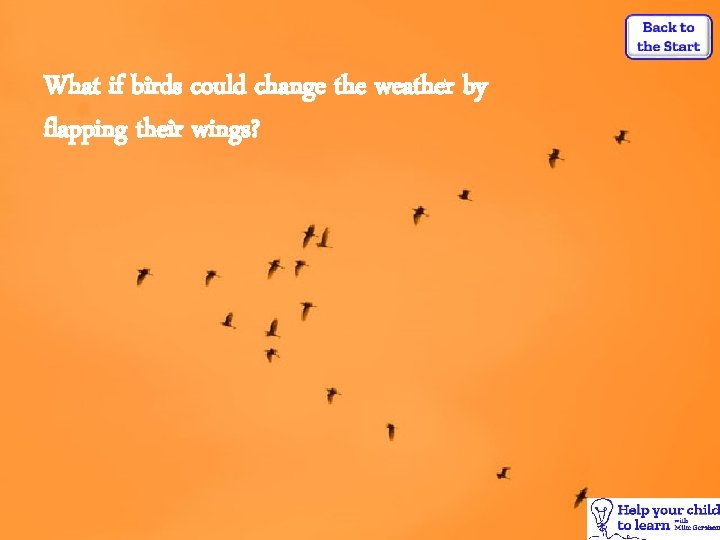 What if birds could change the weather by flapping their wings? 