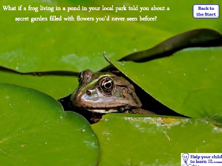 What if a frog living in a pond in your local park told you