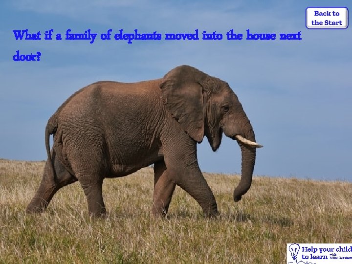What if a family of elephants moved into the house next door? 
