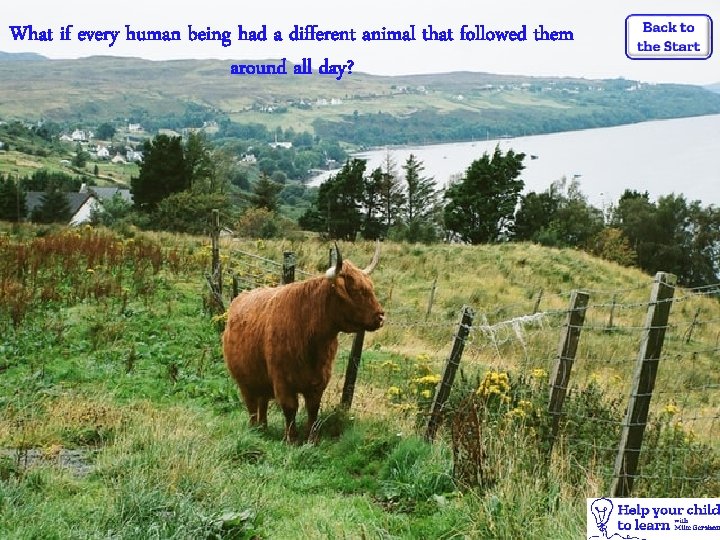 What if every human being had a different animal that followed them around all