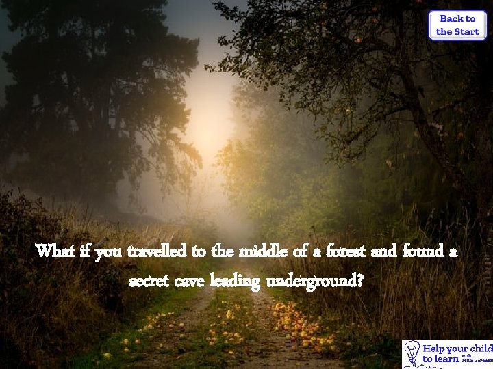 What if you travelled to the middle of a forest and found a secret