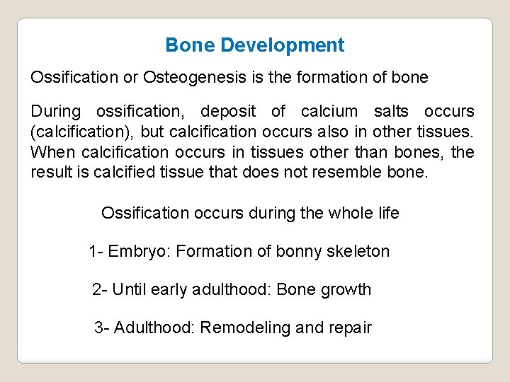 Bone Development Ossification or Osteogenesis is the formation of bone During ossification, deposit of