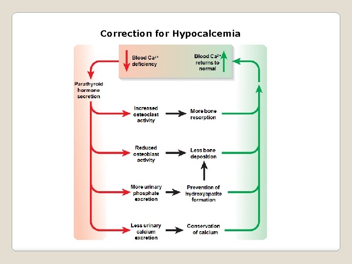 Correction for Hypocalcemia 