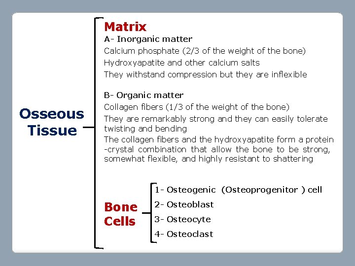 Matrix A- Inorganic matter Calcium phosphate (2/3 of the weight of the bone) Hydroxyapatite