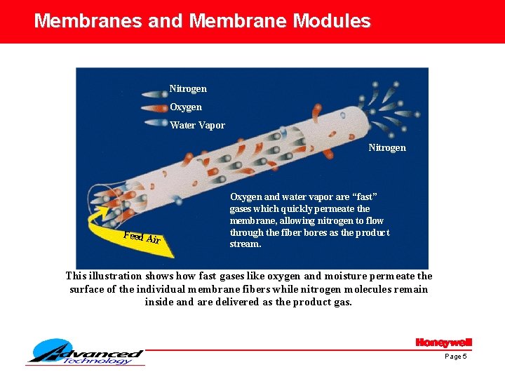 Membranes and Membrane Modules Nitrogen Oxygen Water Vapor Nitrogen Feed A ir Oxygen and