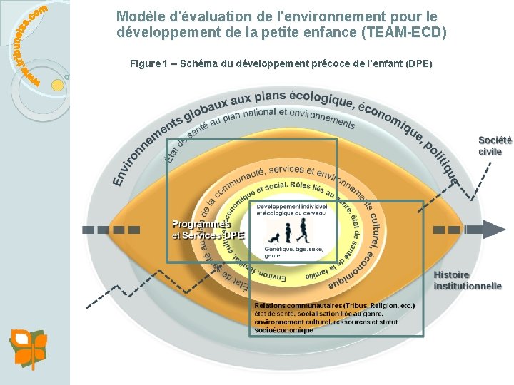 Modèle d'évaluation de l'environnement pour le développement de la petite enfance (TEAM-ECD) Figure 1