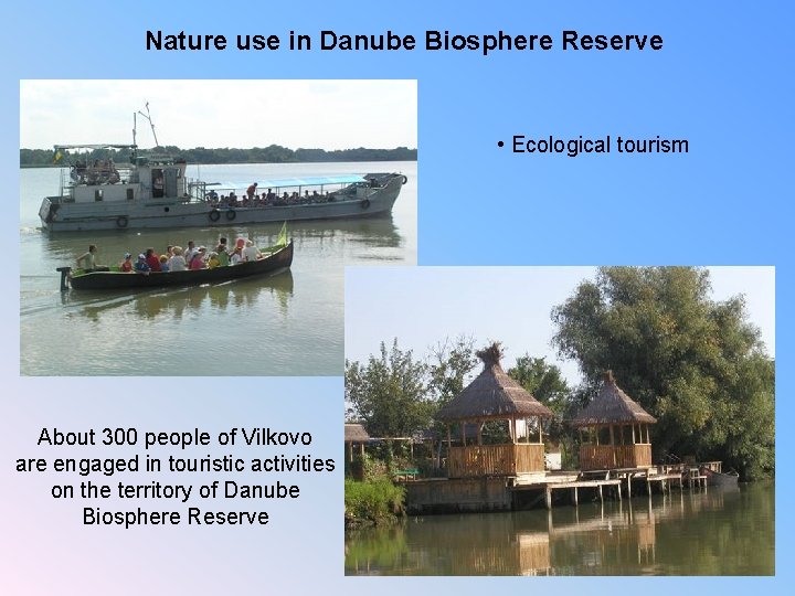 Nature use in Danube Biosphere Reserve • Ecological tourism About 300 people of Vilkovo