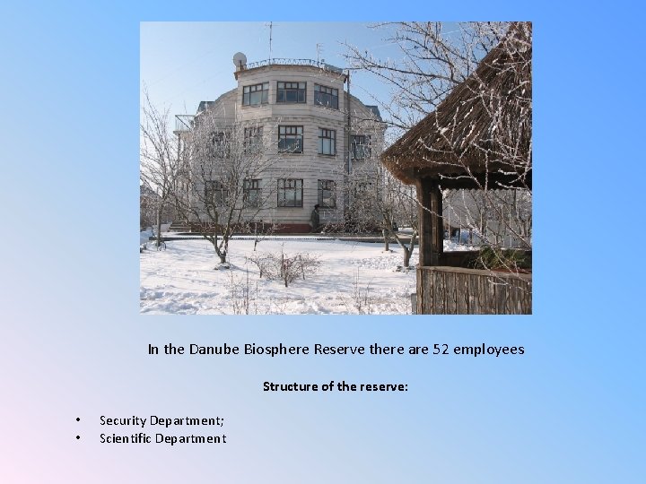 In the Danube Biosphere Reserve there are 52 employees Structure of the reserve: •