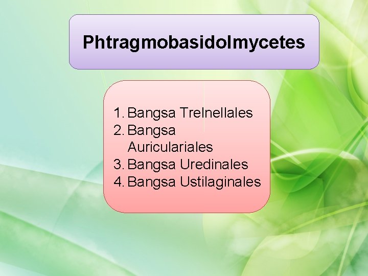 Phtragmobasidolmycetes 1. Bangsa Trelnellales 2. Bangsa Auriculariales 3. Bangsa Uredinales 4. Bangsa Ustilaginales 