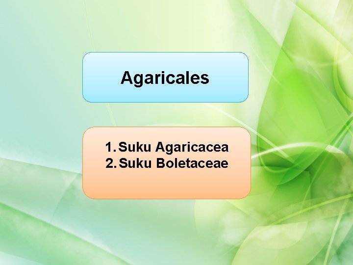 Agaricales 1. Suku Agaricacea 2. Suku Boletaceae 