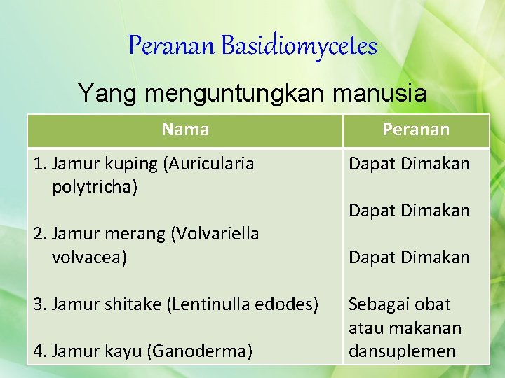 Peranan Basidiomycetes Yang menguntungkan manusia Nama 1. Jamur kuping (Auricularia polytricha) 2. Jamur merang