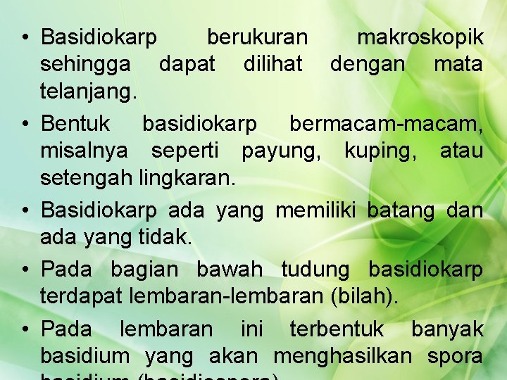  • Basidiokarp berukuran makroskopik sehingga dapat dilihat dengan mata telanjang. • Bentuk basidiokarp