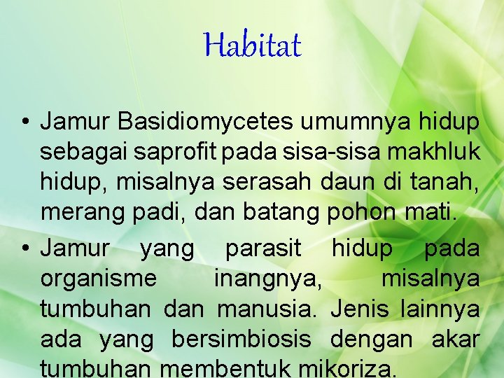 Habitat • Jamur Basidiomycetes umumnya hidup sebagai saprofit pada sisa-sisa makhluk hidup, misalnya serasah