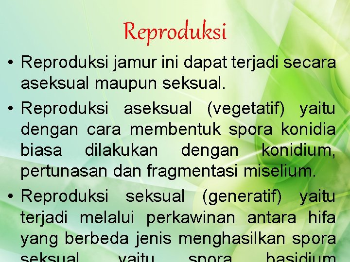 Reproduksi • Reproduksi jamur ini dapat terjadi secara aseksual maupun seksual. • Reproduksi aseksual