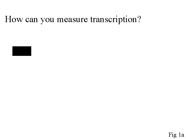 How can you measure transcription? Fig 1 a 