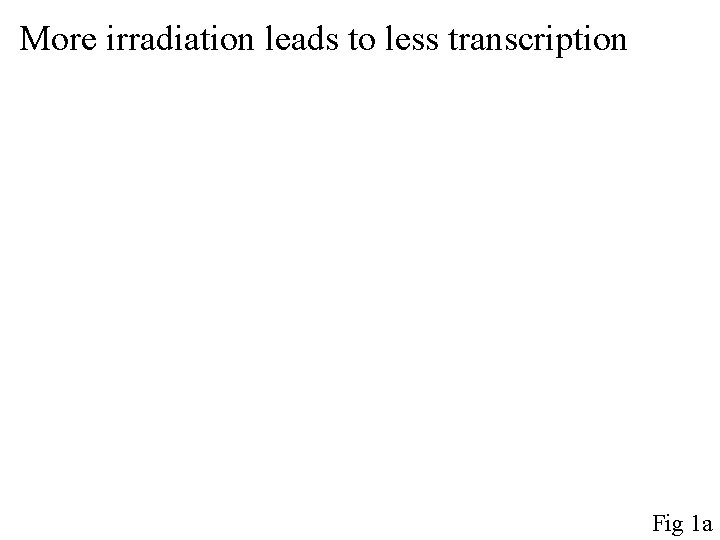 More irradiation leads to less transcription Fig 1 a 