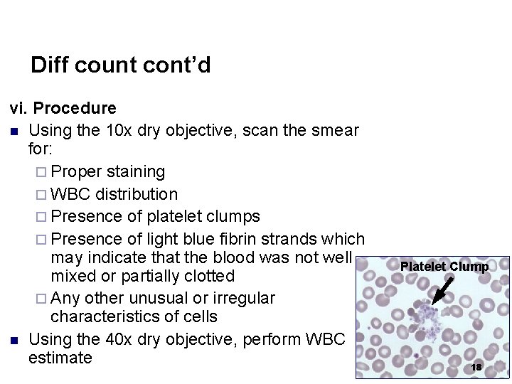 Diff count cont’d vi. Procedure n Using the 10 x dry objective, scan the