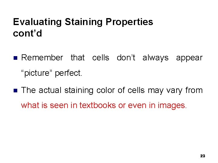 Evaluating Staining Properties cont’d n Remember that cells don’t always appear “picture” perfect. n