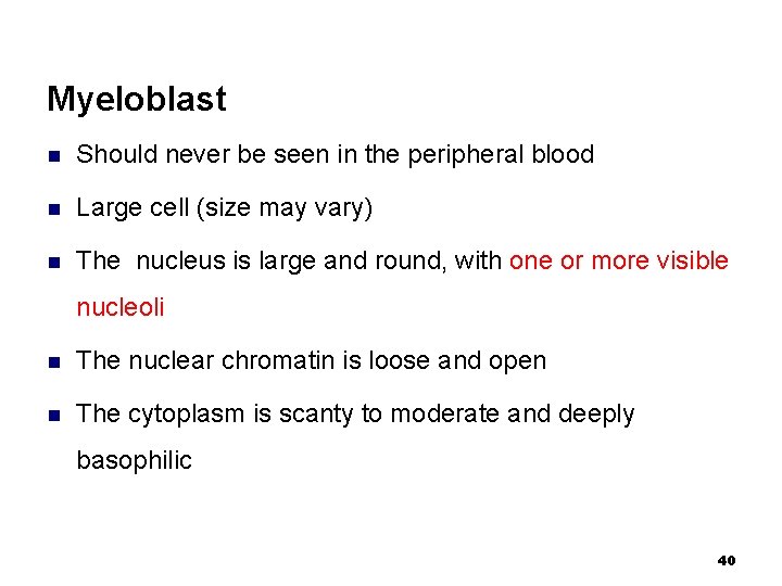 Myeloblast n Should never be seen in the peripheral blood n Large cell (size