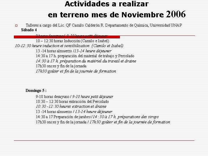 Actividades a realizar en terreno mes de Noviembre o 2006 Talleres a cargo del