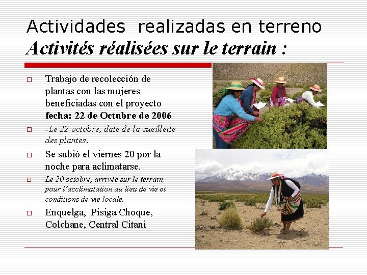 Actividades realizadas en terreno Activités réalisées sur le terrain : o Trabajo de recolección