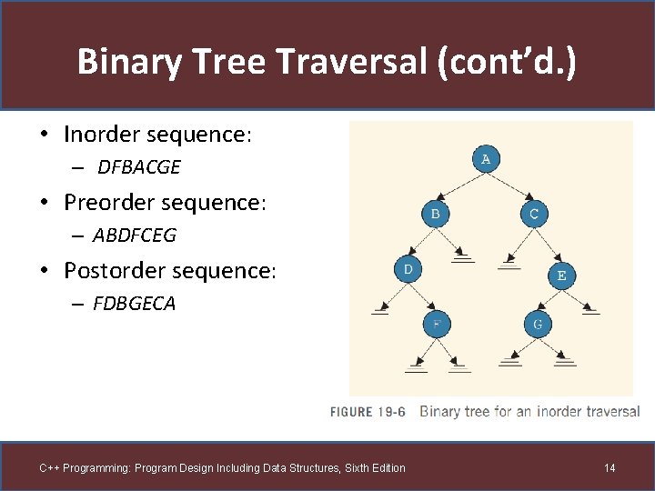Binary Tree Traversal (cont’d. ) • Inorder sequence: – DFBACGE • Preorder sequence: –