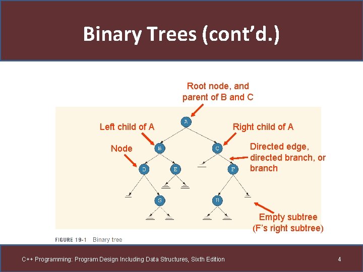 Binary Trees (cont’d. ) Root node, and parent of B and C Left child