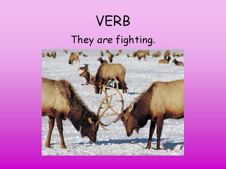 VERB They are fighting. 