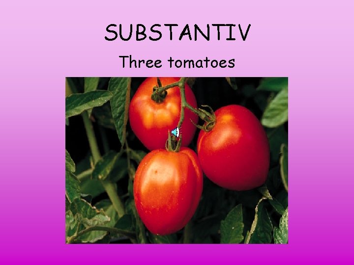 SUBSTANTIV Three tomatoes 