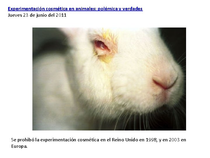 Experimentación cosmética en animales: polémica y verdades Jueves 23 de junio del 2011 Se