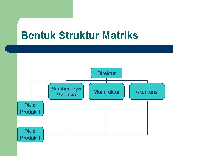 Bentuk Struktur Matriks Direktur Sumberdaya Manusia Divisi Produk 1 Manufaktur Akuntansi 