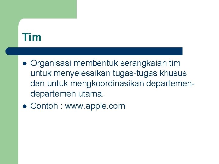 Tim l l Organisasi membentuk serangkaian tim untuk menyelesaikan tugas-tugas khusus dan untuk mengkoordinasikan