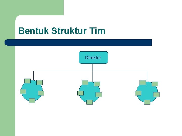 Bentuk Struktur Tim Direktur 