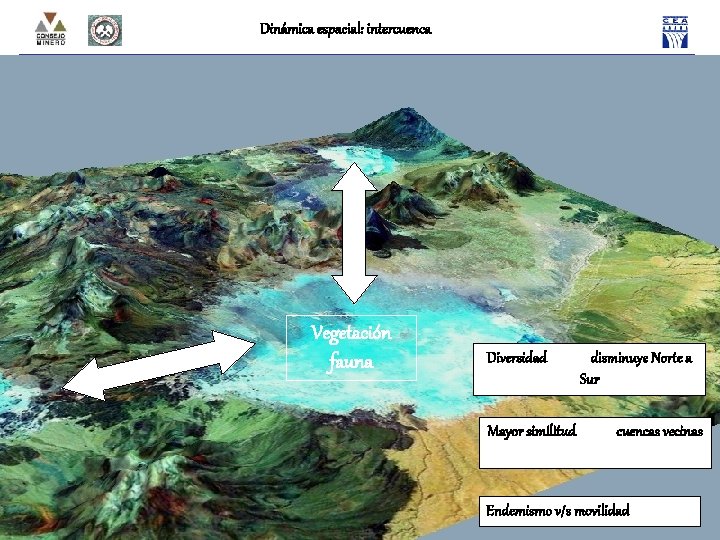 Dinámica espacial: intercuenca Vegetación fauna Diversidad Mayor similitud disminuye Norte a Sur cuencas vecinas