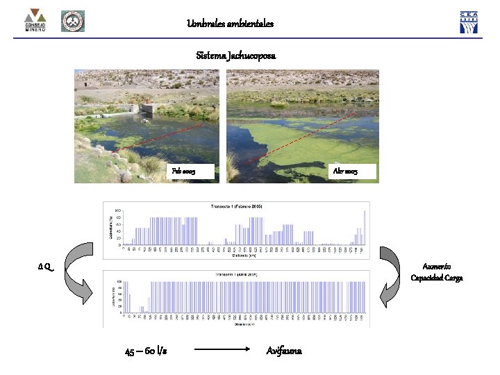 Umbrales ambientales Sistema Jachucoposa Feb 2005 Abr 2005 Aumento Capacidad Carga ΔQ 45 –