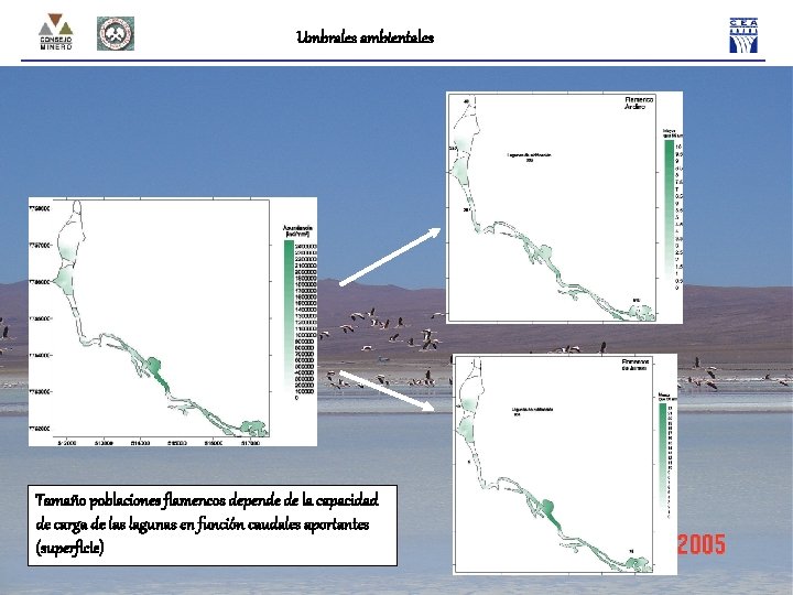 Umbrales ambientales Tamaño poblaciones flamencos depende de la capacidad de carga de las lagunas