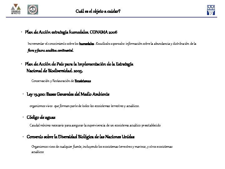 Cuál es el objeto a cuidar? • Plan de Acción estrategia humedales. CONAMA 2006