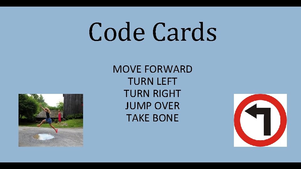 Code Cards MOVE FORWARD TURN LEFT TURN RIGHT JUMP OVER TAKE BONE 