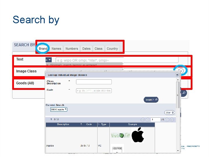 Search by 