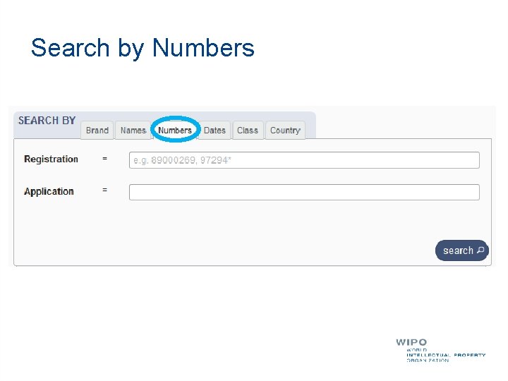 Search by Numbers 