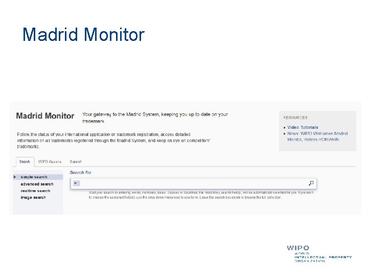 Madrid Monitor 