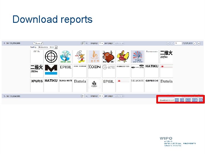 Download reports 