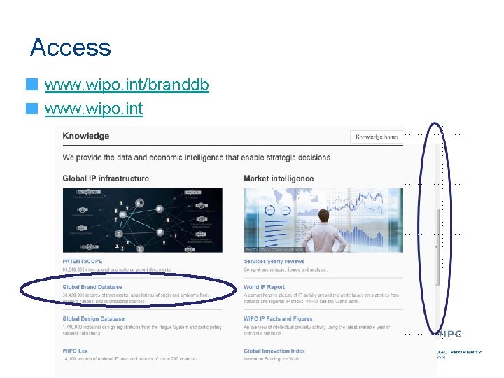 Access www. wipo. int/branddb www. wipo. int 