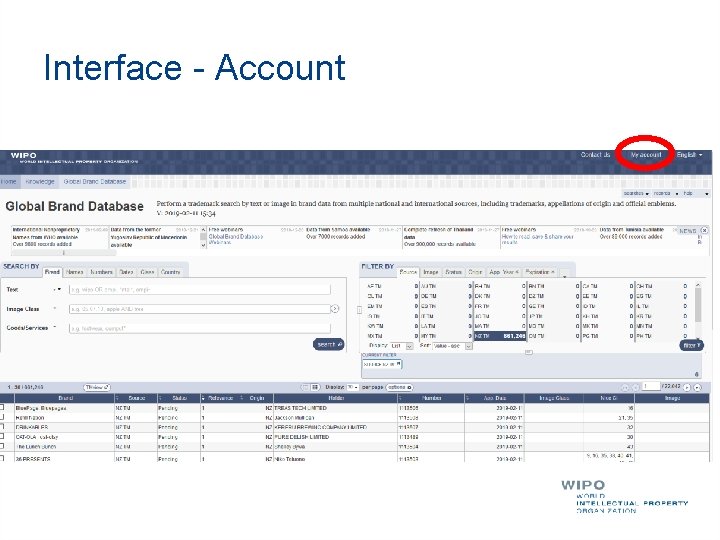 Interface - Account 