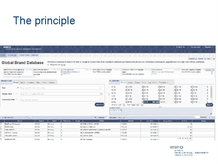 The principle 
