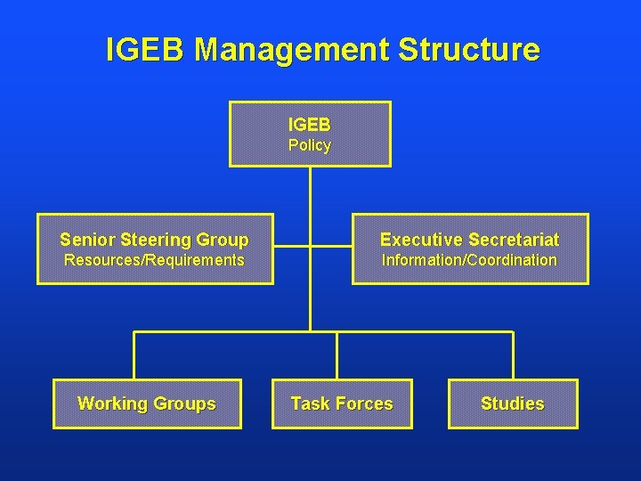 IGEB Management Structure IGEB Policy Senior Steering Group Executive Secretariat Resources/Requirements Information/Coordination Working Groups