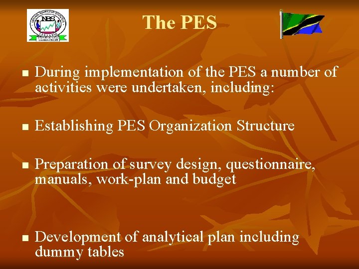 The PES n n During implementation of the PES a number of activities were